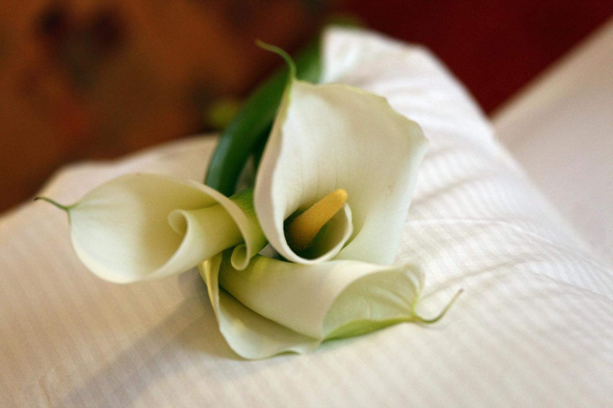 Wellness Hotel Zlata Lipa Decin Bilik gambar
