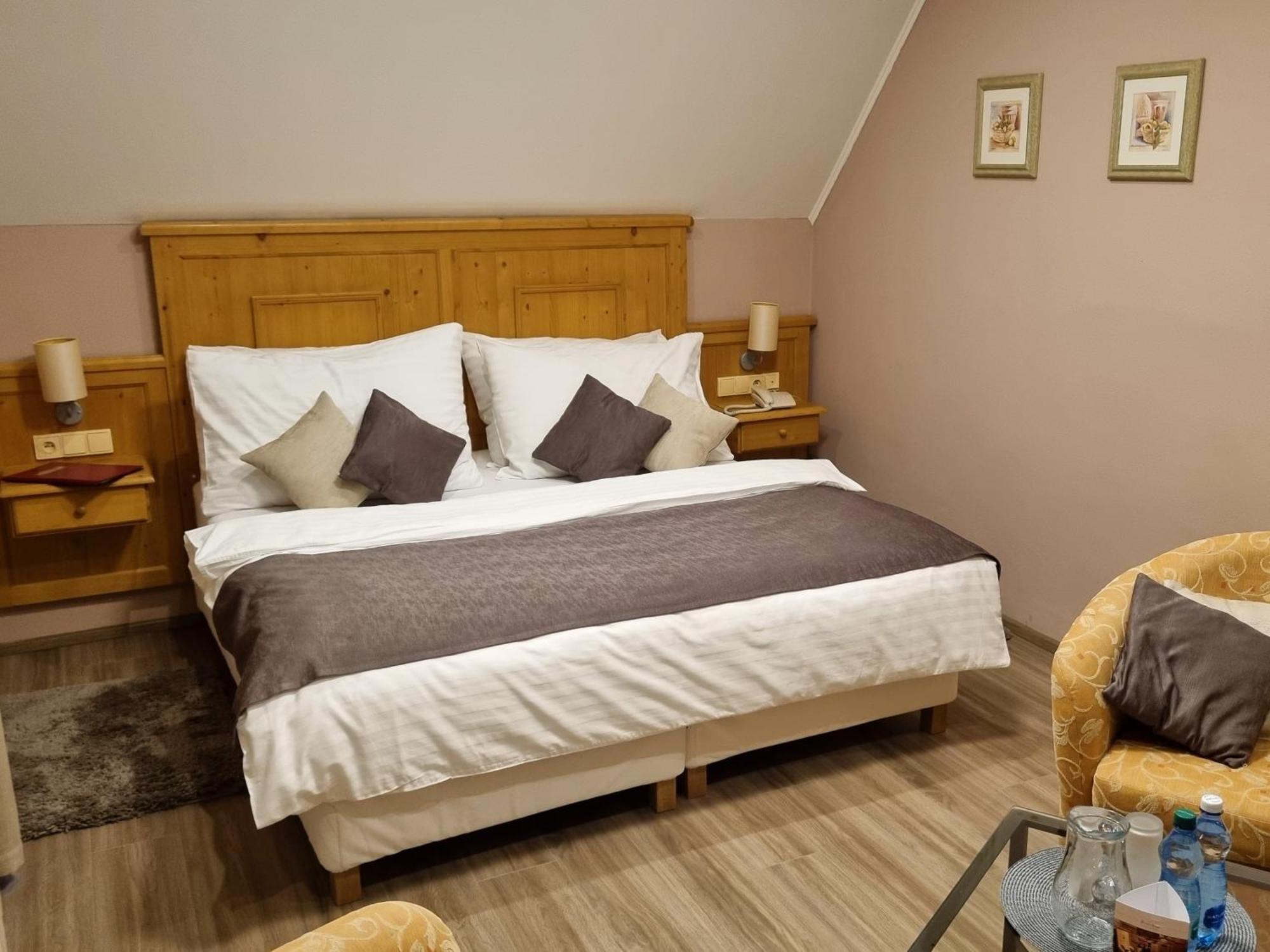 Wellness Hotel Zlata Lipa Decin Bilik gambar