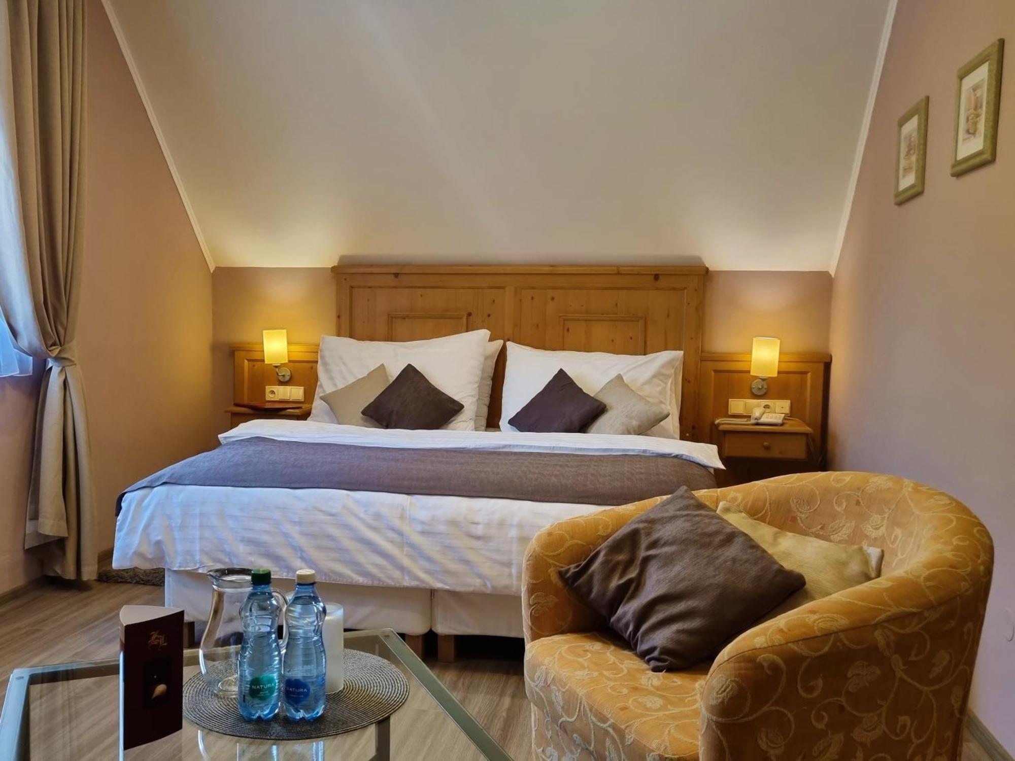 Wellness Hotel Zlata Lipa Decin Bilik gambar