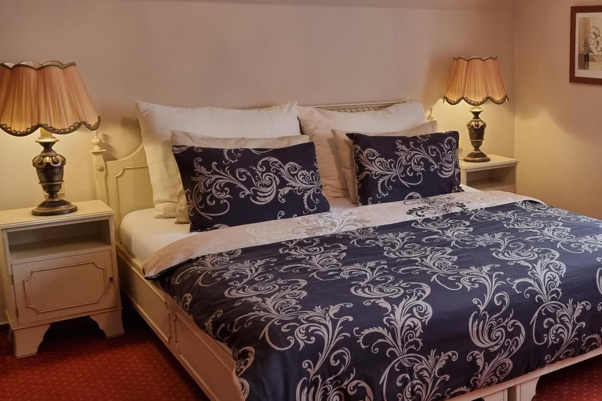 Wellness Hotel Zlata Lipa Decin Bilik gambar